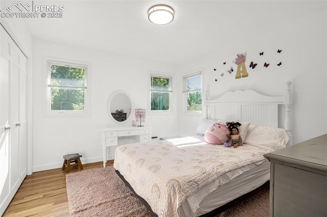 55 Woodbridge Dr, Colorado Springs, CO 80906 - bedroom featuring multiple windows, light wood-type flooring, and a closet
