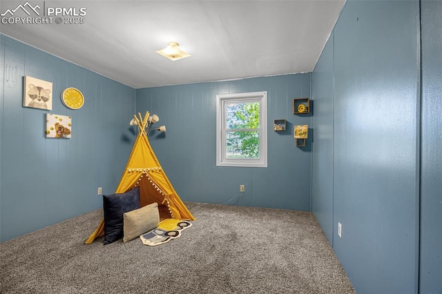 17155 Sagecreek Rd, Peyton, CO 80831 - rec room featuring carpet floors