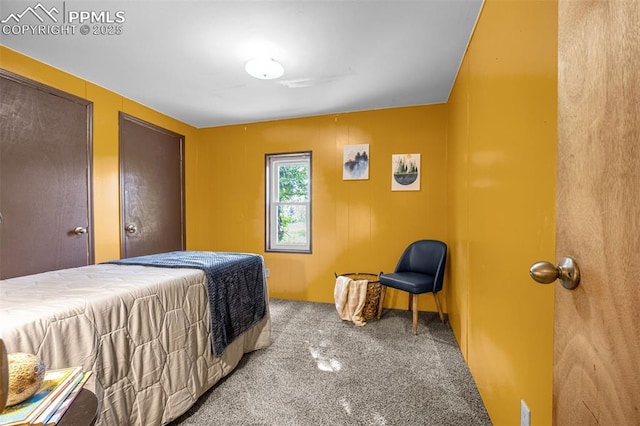 17155 Sagecreek Rd, Peyton, CO 80831 - carpeted bedroom featuring multiple closets