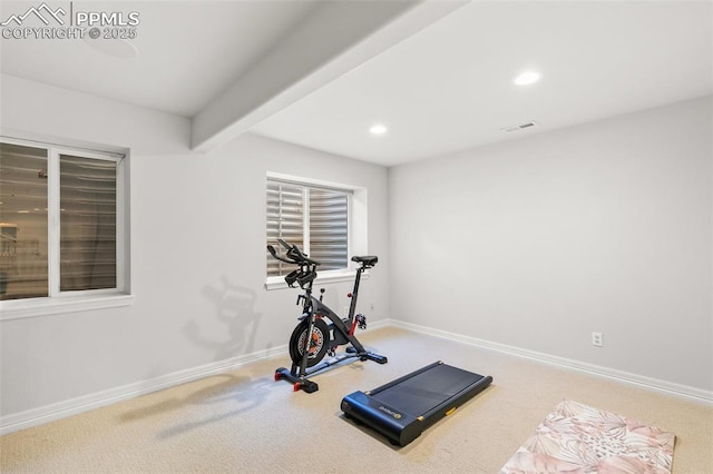 10211 Murmuring Pine Ct, Colorado Springs, CO 80920 - workout room featuring recessed lighting and carpet flooring