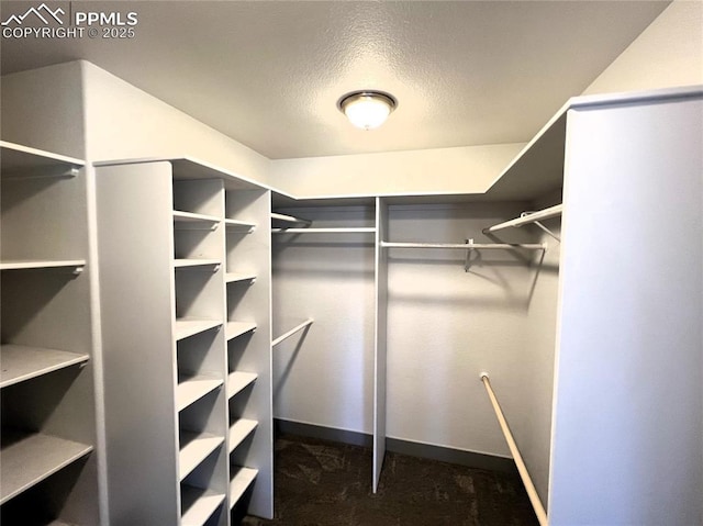 1407 Manitou Blvd, Colorado Springs, CO 80904 - walk in closet with dark carpet