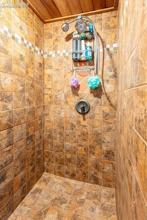 125 1st St, Saguache, CO 81149 - full bathroom featuring tiled shower and wood ceiling