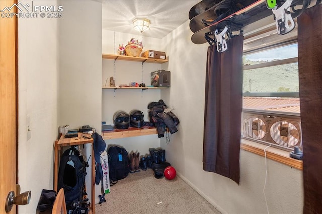 125 1st St, Saguache, CO 81149 - walk in closet featuring carpet floors
