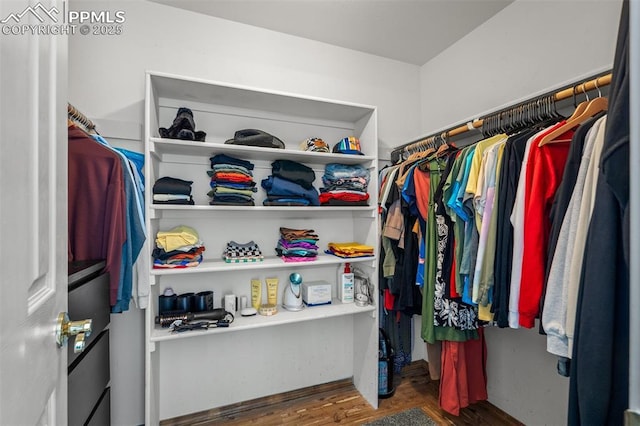 2570 Wimbleton Ct, Colorado Springs, CO 80920 - walk in closet with wood finished floors