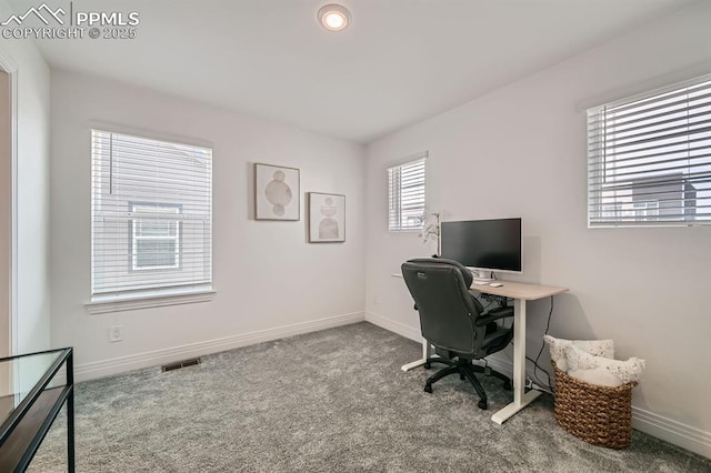 1851 Spring Water Pt, Colorado Springs, CO 80908 - office area with carpet flooring and baseboards