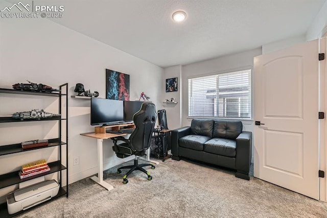 1851 Spring Water Pt, Colorado Springs, CO 80908 - office area with carpet floors