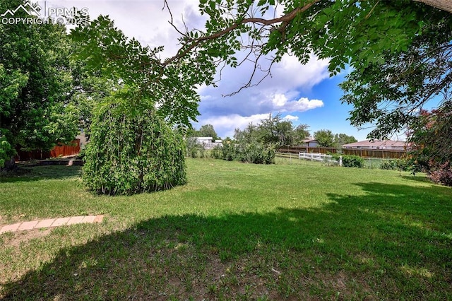 4059 Cooke Ln, Colorado Springs, CO 80911 - view of yard