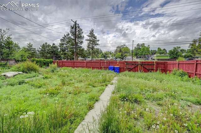 3118 E Ln Salle St, Colorado Springs, CO 80909 - view of yard