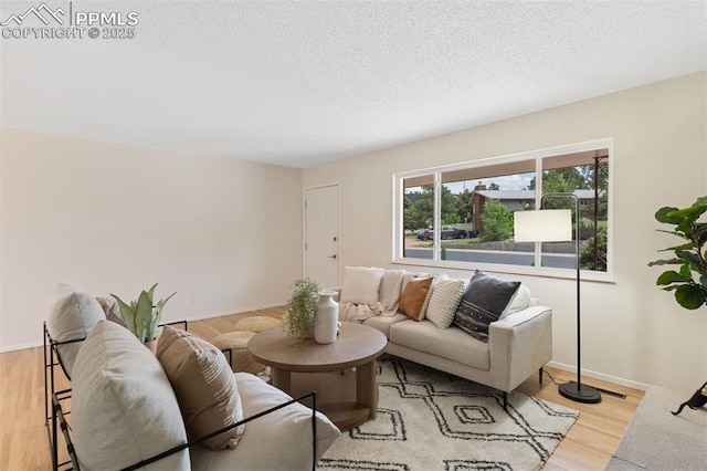 1411 Acacia Dr, Colorado Springs, CO 80907 - living area featuring light wood finished floors and a textured ceiling