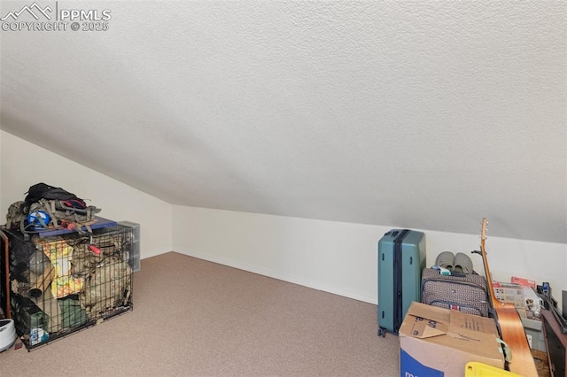 3320 Chestnut Glen Ln, Colorado Springs, CO 80918 - view of storage room