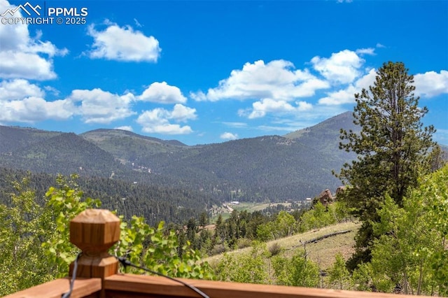 860 Golden Cycle Cir, Cripple Creek, CO 80813 - view of mountain background
