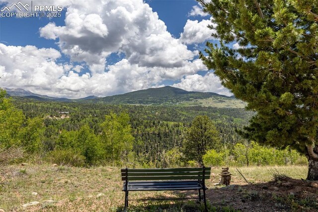 860 Golden Cycle Cir, Cripple Creek, CO 80813 - view of mountain background with a forest