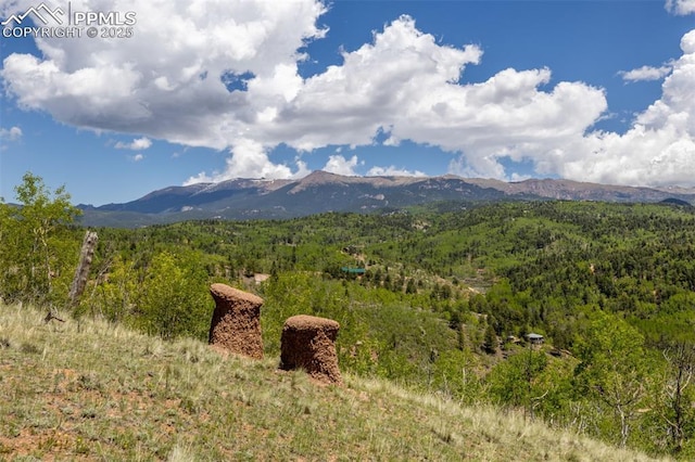 860 Golden Cycle Cir, Cripple Creek, CO 80813 - view of mountain background featuring a heavily wooded area