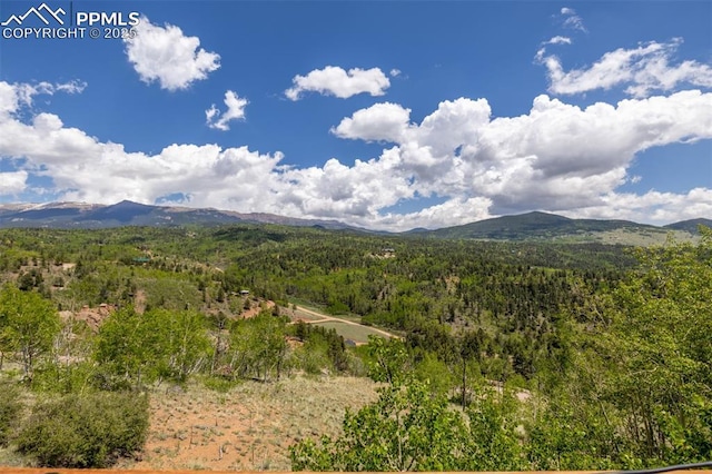 860 Golden Cycle Cir, Cripple Creek, CO 80813 - view of mountain background featuring a forest