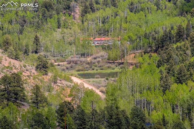 860 Golden Cycle Cir, Cripple Creek, CO 80813 - bird's eye view of a heavily wooded area