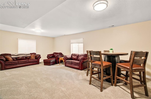 10702 Black Kettle Way, Colorado Springs, CO 80908 - living area featuring carpet floors