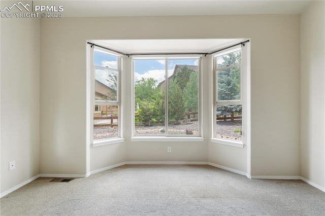 4410 Campus Bluffs Ct, Colorado Springs, CO 80918 - carpeted empty room featuring healthy amount of natural light