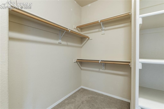 4410 Campus Bluffs Ct, Colorado Springs, CO 80918 - spacious closet featuring carpet flooring