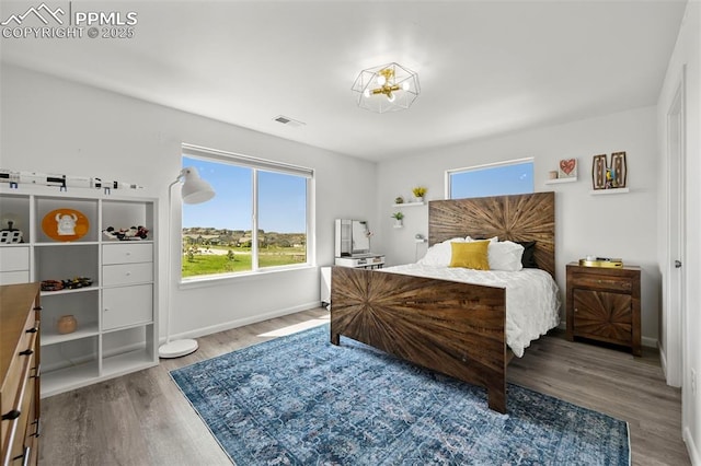10423 Bergan Peak Ct, Colorado Springs, CO 80924 - bedroom with wood finished floors and multiple windows