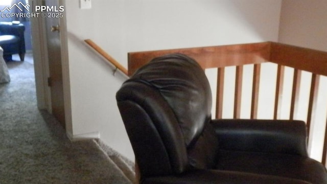 4450 Chaparral Rd, Colorado Springs, CO 80917 - staircase featuring carpet flooring