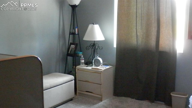 4450 Chaparral Rd, Colorado Springs, CO 80917 - sitting room with light carpet