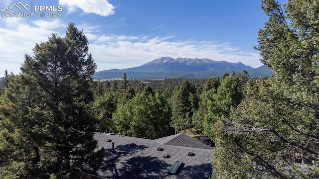 451 Fern Rd, Woodland Park, CO 80863 - mountain view featuring a heavily wooded area