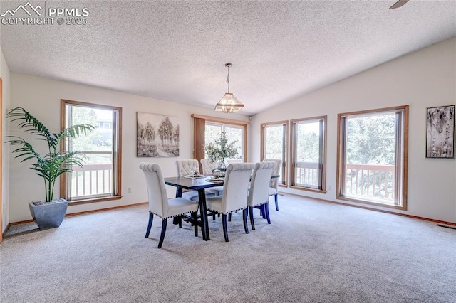 19235 Wakonda Way, Monument, CO 80132 - dining room featuring a textured ceiling, carpet floors, and lofted ceiling