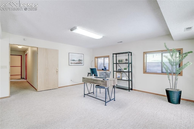 19235 Wakonda Way, Monument, CO 80132 - home office featuring a textured ceiling, light colored carpet, and healthy amount of natural light