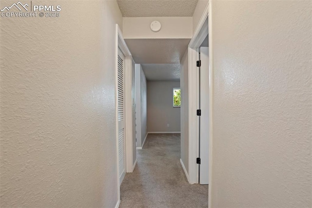 4116 Fitzpatrick Dr, Colorado Springs, CO 80909 - hall featuring carpet, a textured wall, and a textured ceiling