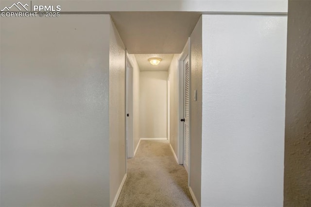 4116 Fitzpatrick Dr, Colorado Springs, CO 80909 - hall featuring light carpet and a textured wall