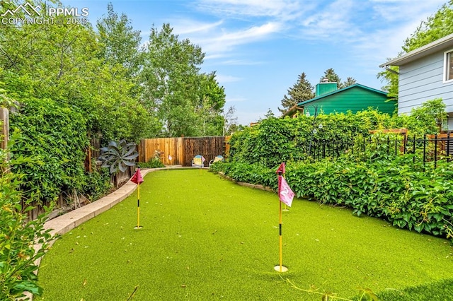 4750 Iron Horse Trl, Colorado Springs, CO 80917 - fenced backyard featuring a putting area