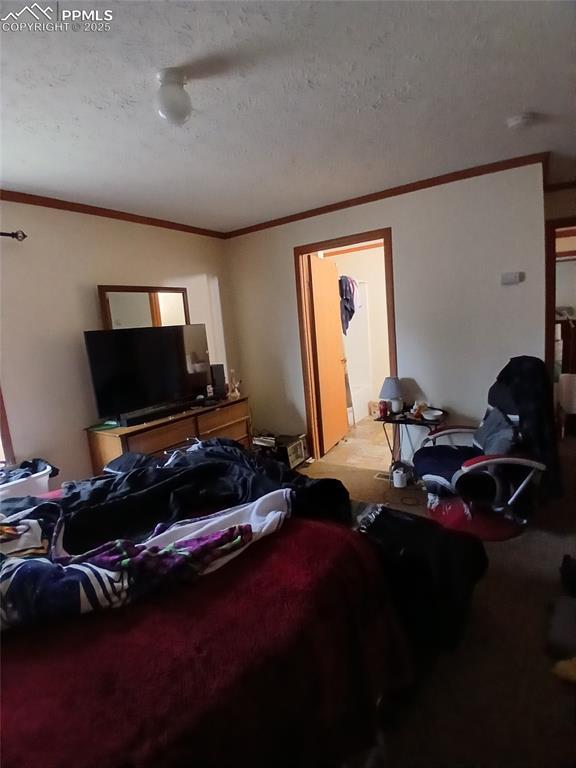 2272 County Road 1, Cripple Creek, CO 80813