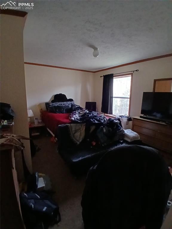 2272 County Road 1, Cripple Creek, CO 80813