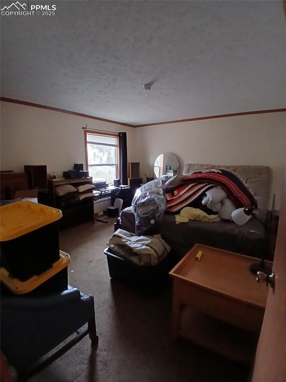2272 County Road 1, Cripple Creek, CO 80813