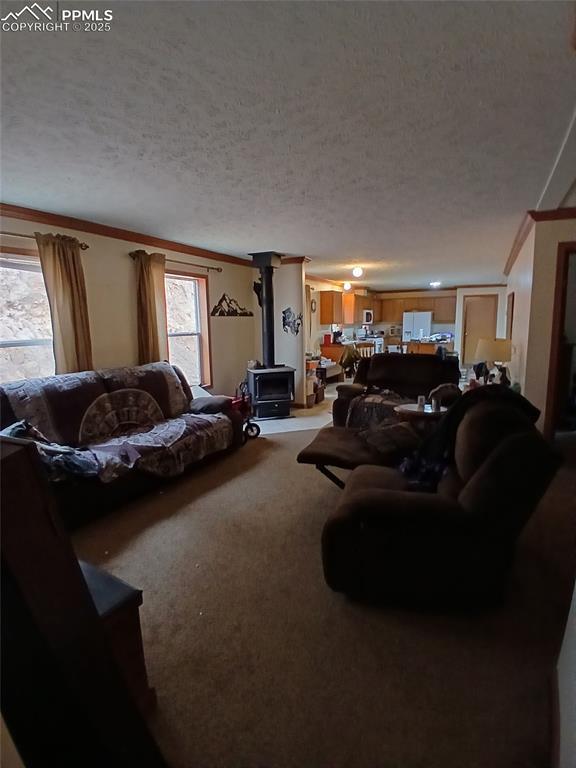 2272 County Road 1, Cripple Creek, CO 80813