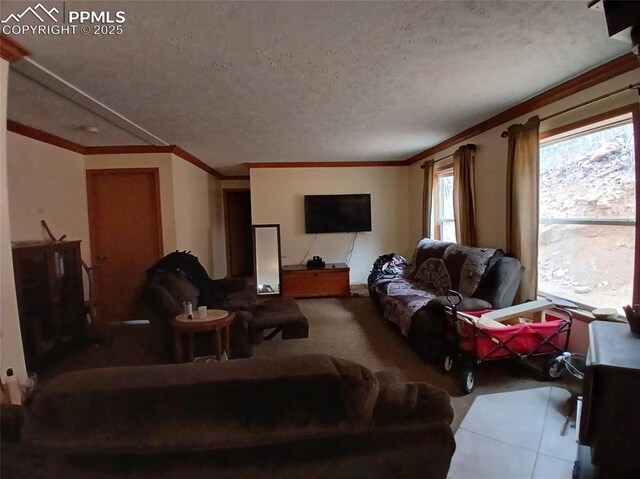 2272 County Road 1, Cripple Creek, CO 80813