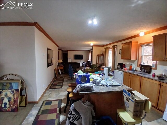 2272 County Road 1, Cripple Creek, CO 80813