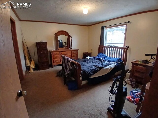 2272 County Road 1, Cripple Creek, CO 80813