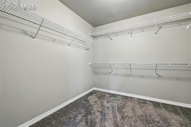 7791 Berwyn Loop, Peyton, CO 80831 - spacious closet featuring carpet flooring