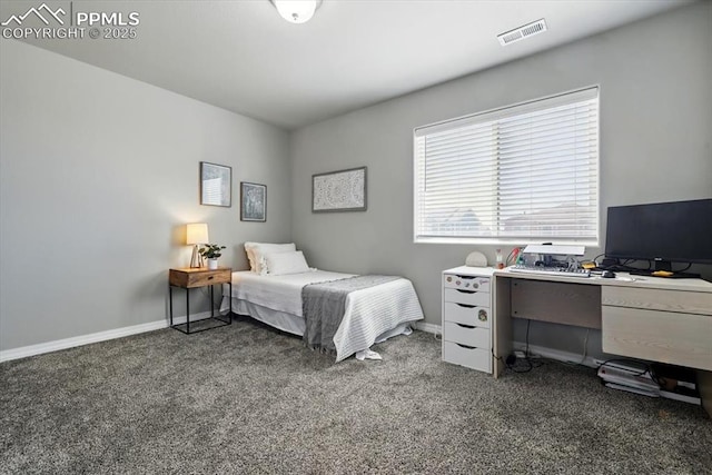 7791 Berwyn Loop, Peyton, CO 80831 - carpeted bedroom with baseboards and a desk