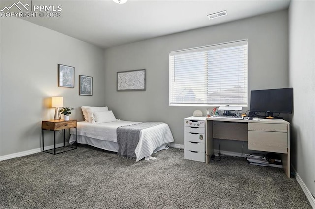 7791 Berwyn Loop, Peyton, CO 80831 - carpeted bedroom with baseboards