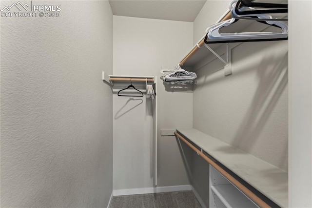5489 Passport Vw, Colorado Springs, CO 80922 - view of spacious closet