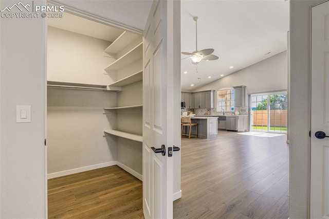 5115 Vista Del Norte Pt, Colorado Springs, CO 80919 - walk in closet with a ceiling fan, wood finished floors, and high vaulted ceiling