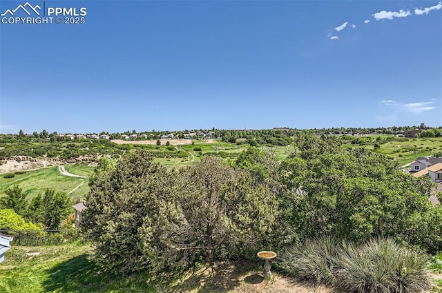 2512 Elite Ter, Colorado Springs, CO 80920 - view of undeveloped land
