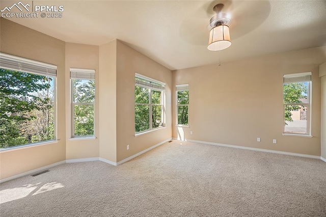 1117 Spectrum Loop, Colorado Springs, CO 80921 - spare room with plenty of natural light and carpet floors