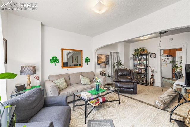 609 W 8th St Unit 611, Pueblo, CO 81003 - living area featuring carpet and arched walkways