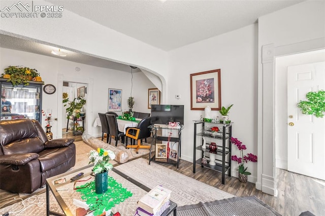 609 W 8th St Unit 611, Pueblo, CO 81003 - living room featuring wood finished floors and arched walkways