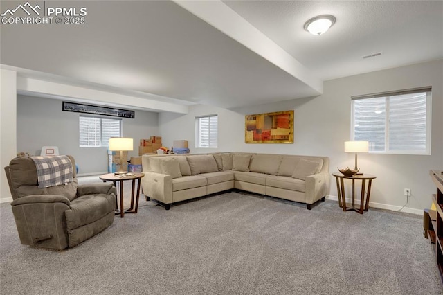 10076 Oro Belle Ct, Colorado Springs, CO 80924 - carpeted living area with baseboards