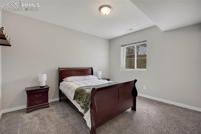 10076 Oro Belle Ct, Colorado Springs, CO 80924 - bedroom featuring carpet floors and baseboards