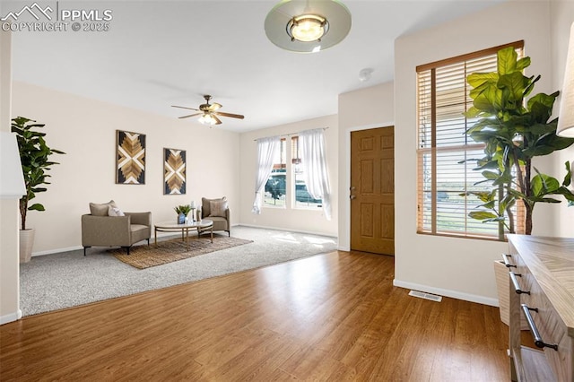8753 Bamboo Grv, Colorado Springs, CO 80951 - foyer with a ceiling fan, wood finished floors, and plenty of natural light